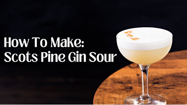 How To Make A Gin Sour - Tayport Distillery